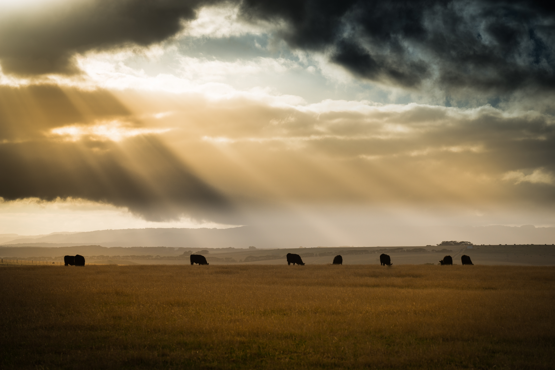 Understanding climate drivers